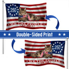 Flagwix Patriotic Cat Flag, 250 Years Maine Coon Cat 1776 2026 Grommet Flag