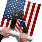 Black Cat Canvas Wall Art, 250 Years of Freedom Historic USA Decor