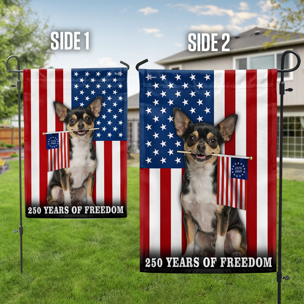 Dog American Flag, 250 Years of Freedom Chihuahua US Flag