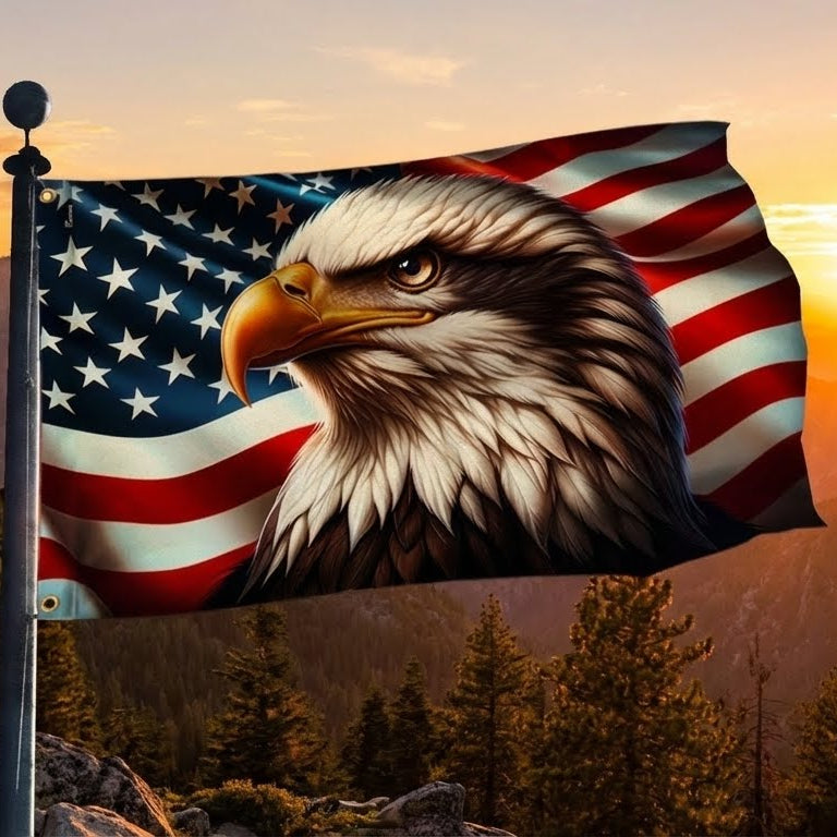 Flagwix American Flag, America 250th Anniversary Patriotic Eagle American Grommet Flag 3-Day Shipping
