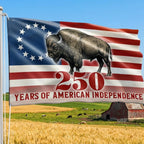 Betsy Ross Flag, 250 Years of American Independence Bison Buffalo Grommet Flag