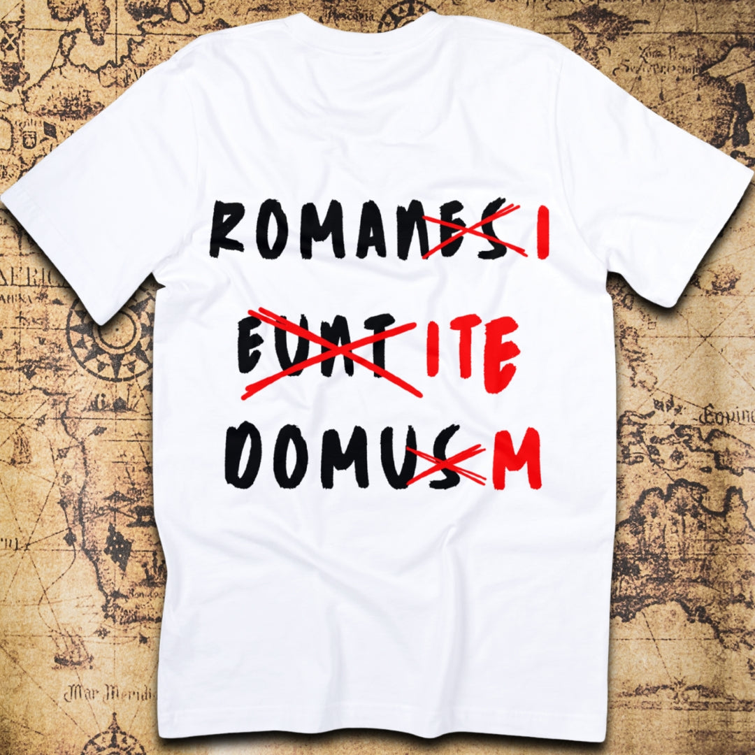 Romans Go Home – Life of Brian Latin Graffiti T-Shirt