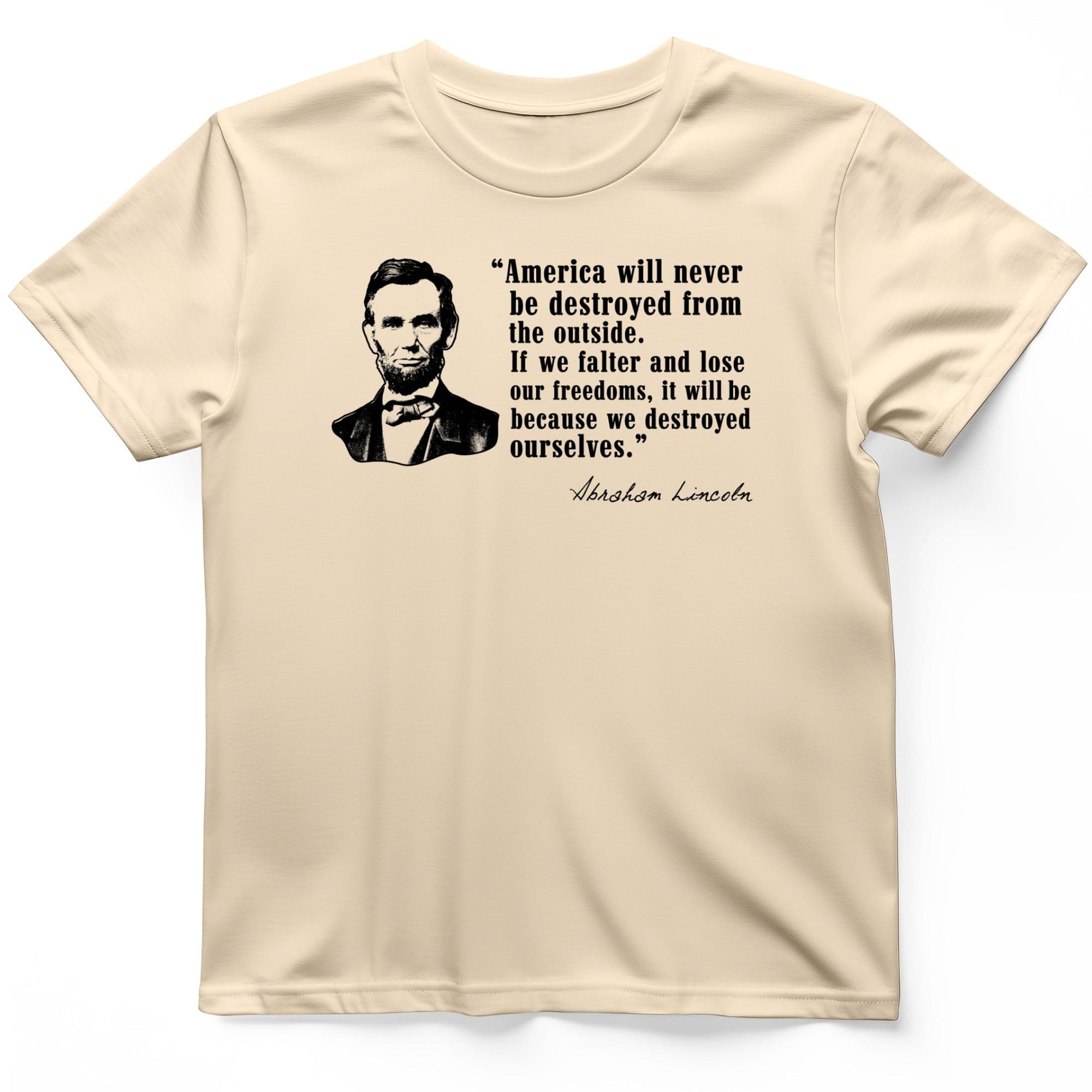 Destroyed Ourselves Lincoln Premium Tee