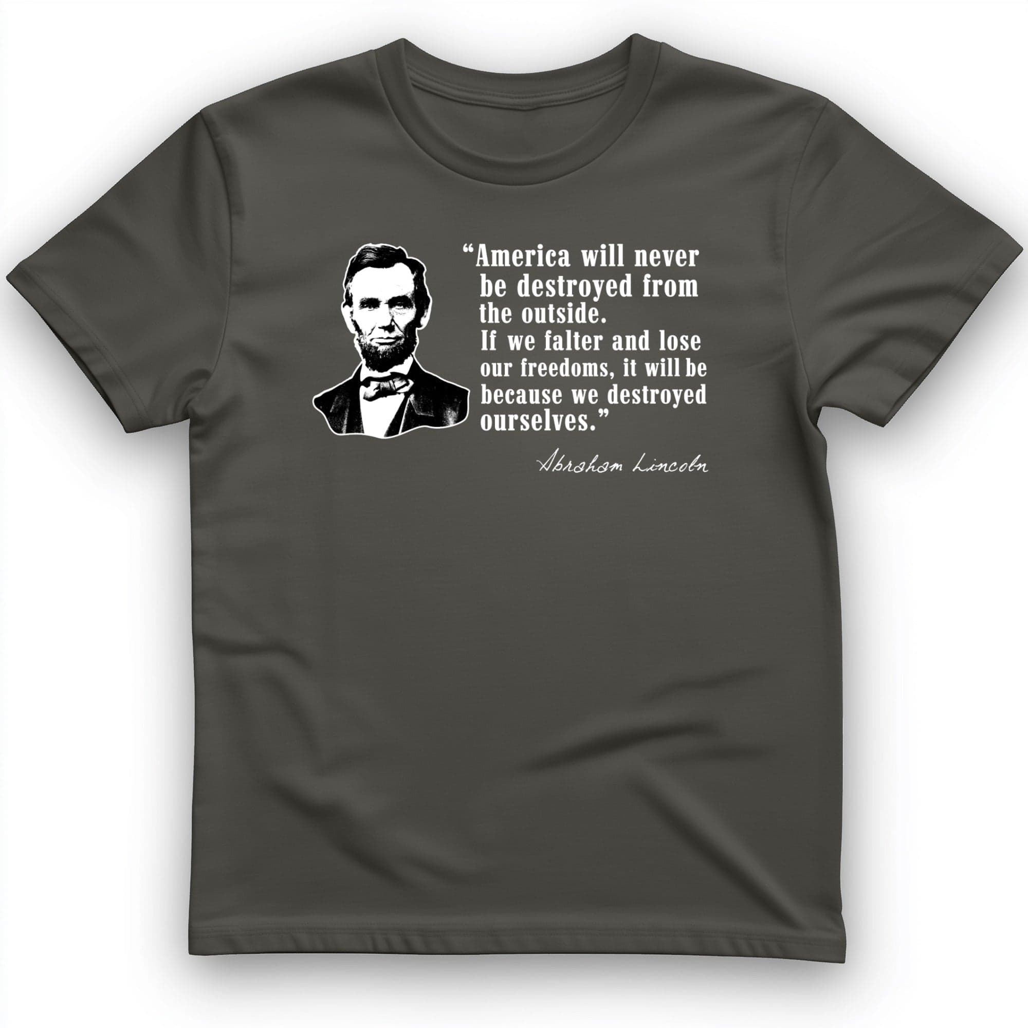 Destroyed Ourselves Lincoln T-Shirt