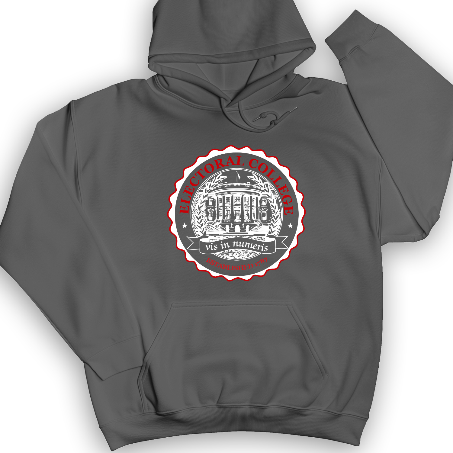 Electoral College Hoodie