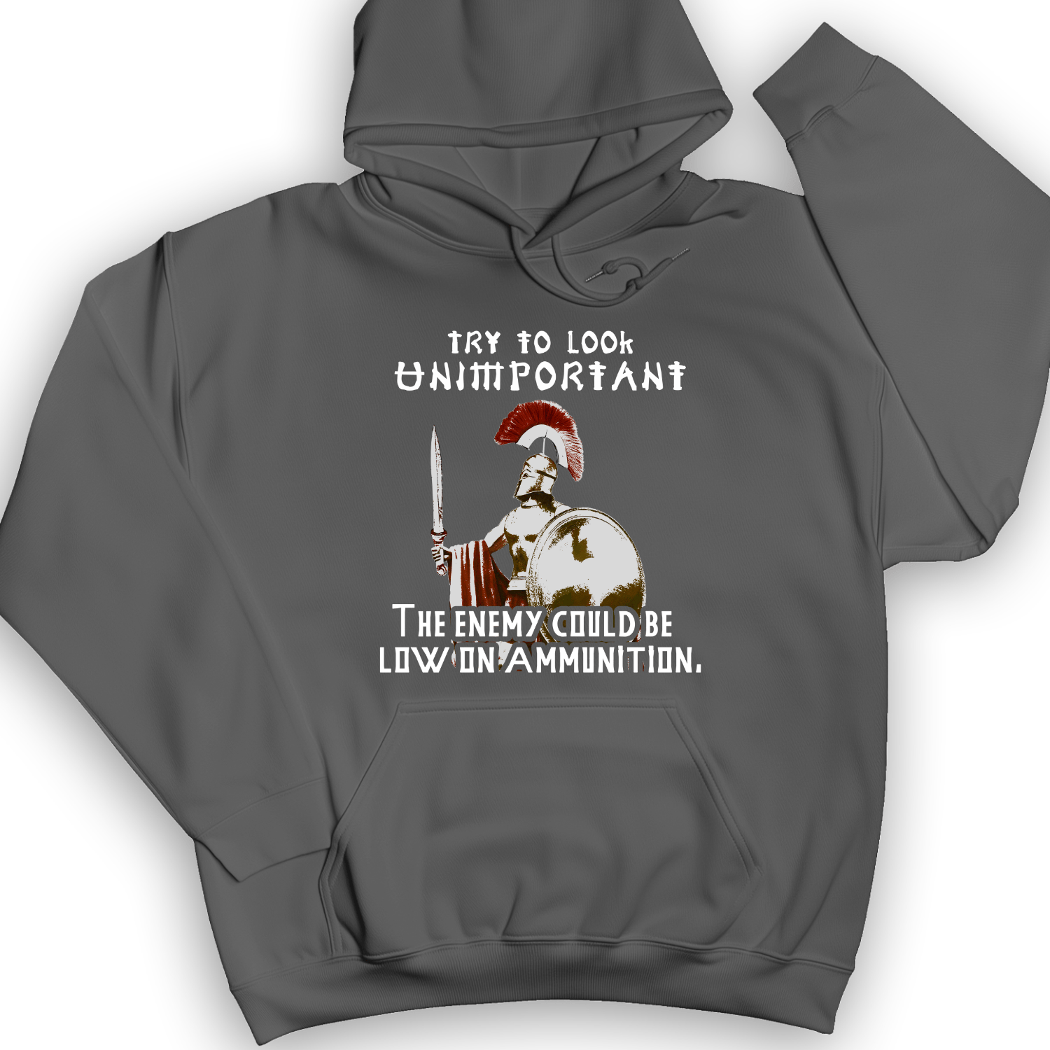 Greek Logic Hoodie