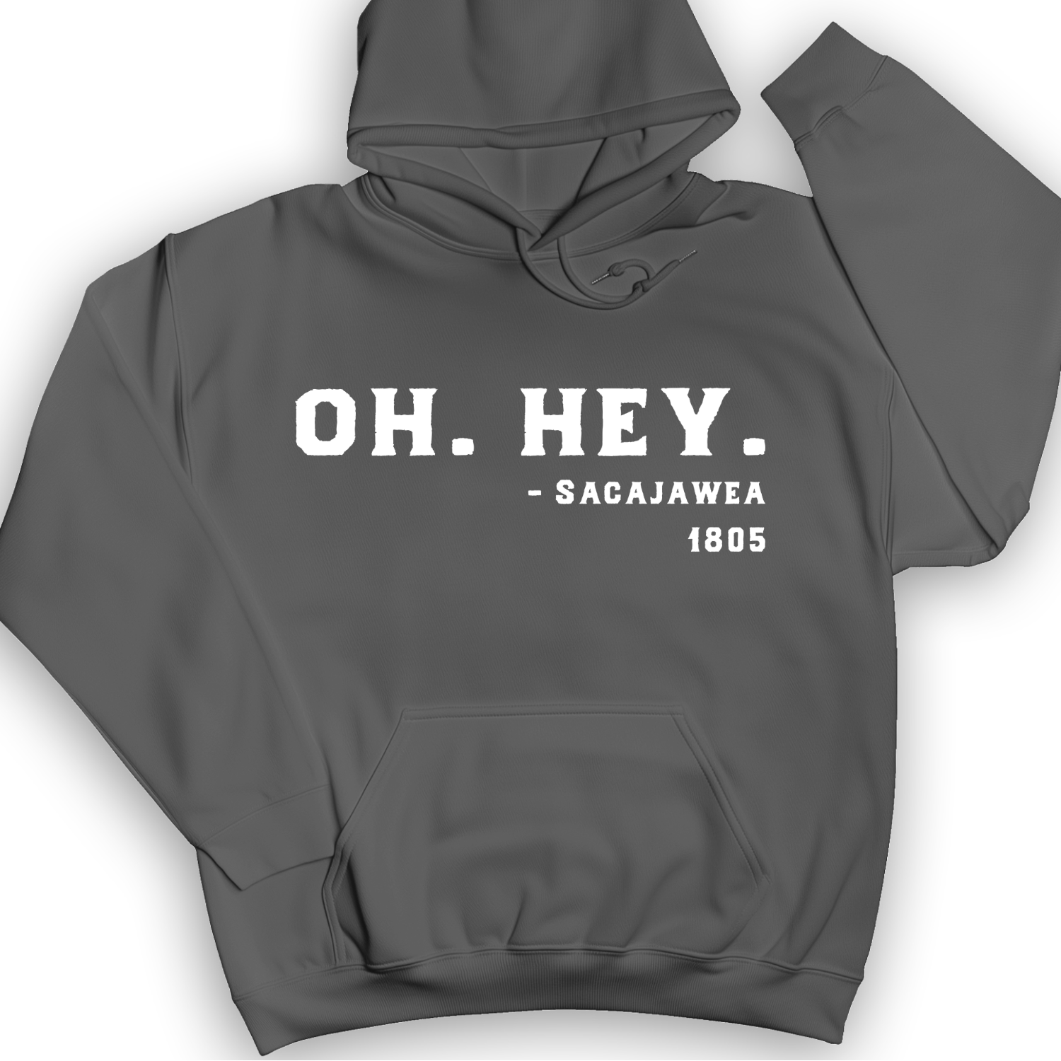 Sacajawea I Got This Hoodie