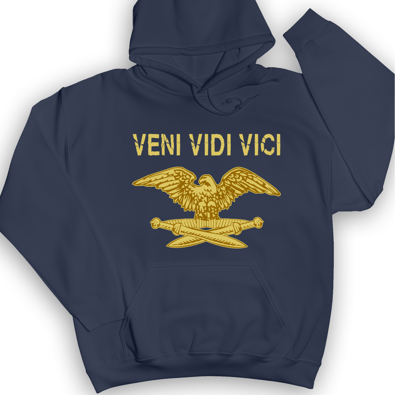 Veni Vidi Vici Hoodie