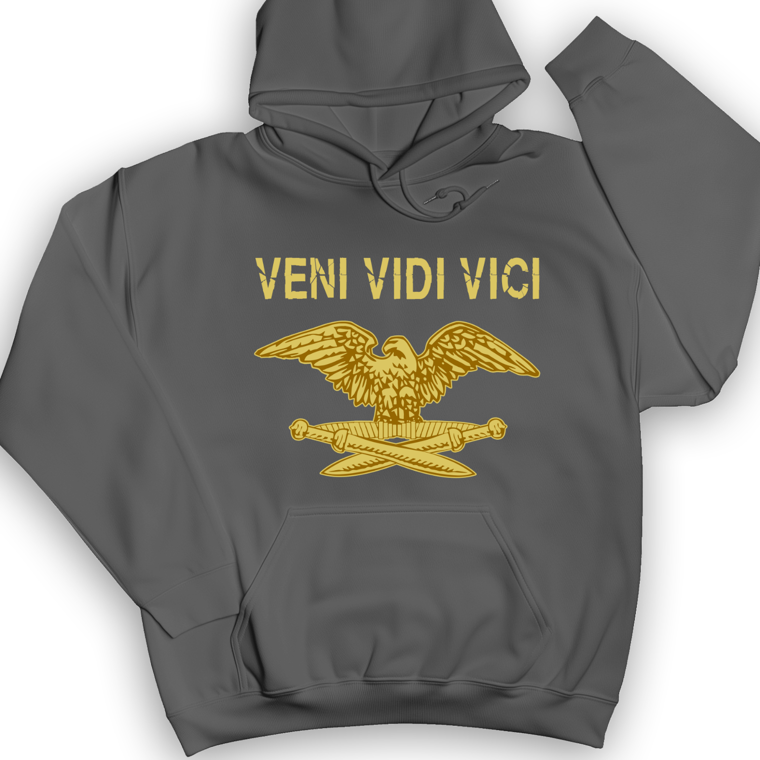 Veni Vidi Vici Hoodie