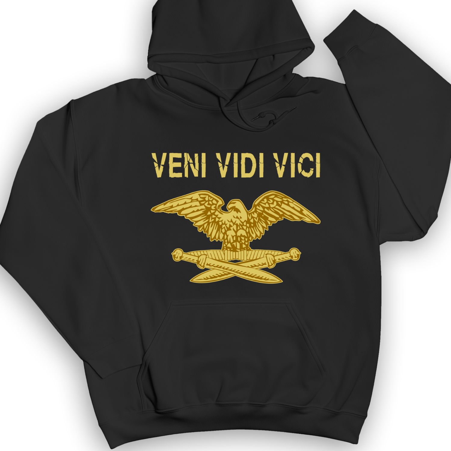 Veni Vidi Vici Hoodie