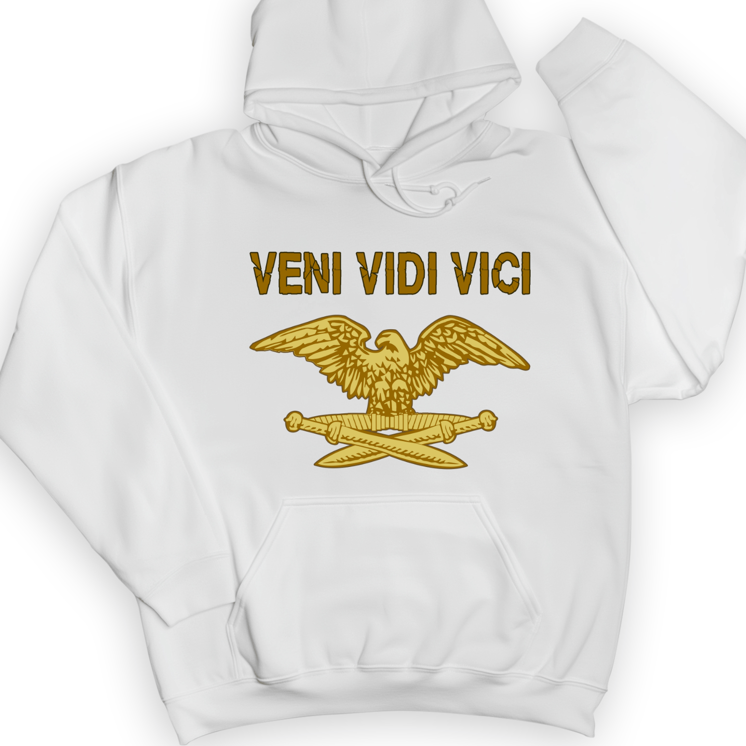 Veni Vidi Vici Hoodie