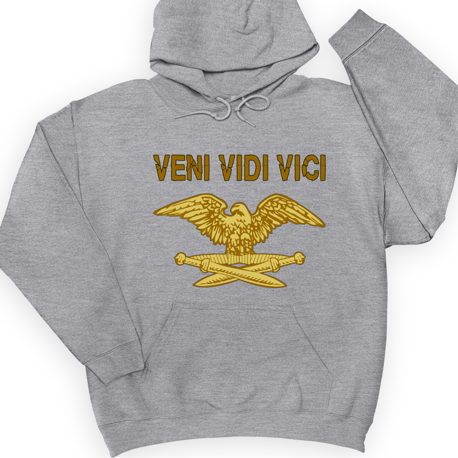 Veni Vidi Vici Hoodie
