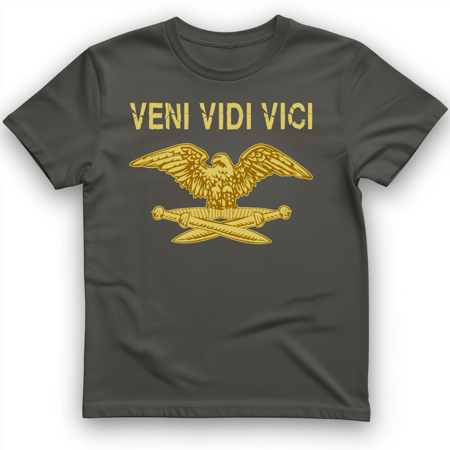 Veni Vidi Vici T-Shirt