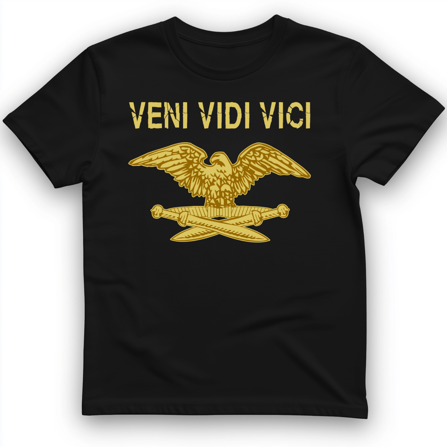 Veni Vidi Vici T-Shirt