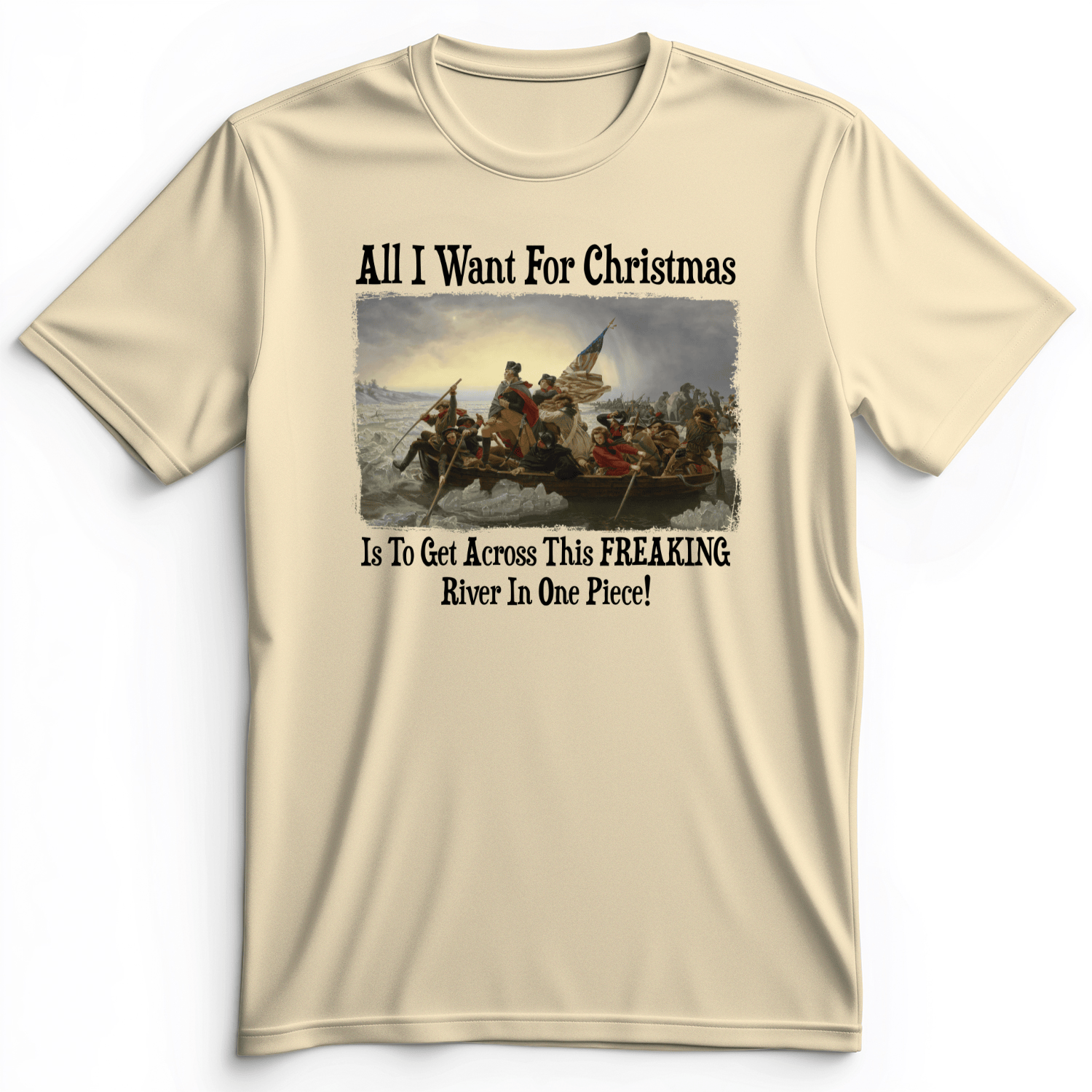Washington All I Want Premium Tee