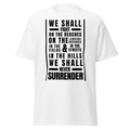 We Shall Fight on the Beaches, Churchill Speech T-Shirt
